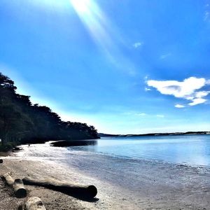 Meet your Posher, Lorena